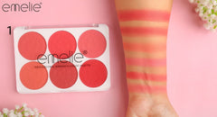 Matte Blusher 6 Color Pallete