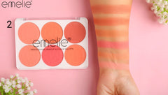 Matte Blusher 6 Color Pallete