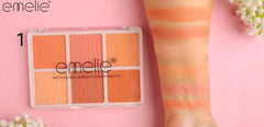Matte Blusher 6 Color Pallete